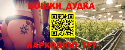 гидра Свободный