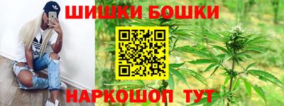гидра Свободный
