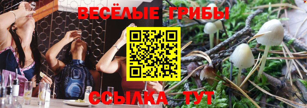 Галлюциногенные грибы Magic Shrooms Нефтекамск